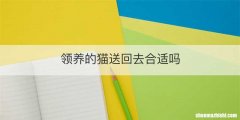 领养的猫送回去合适吗