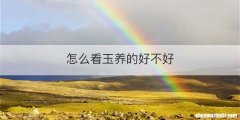 怎么看玉养的好不好