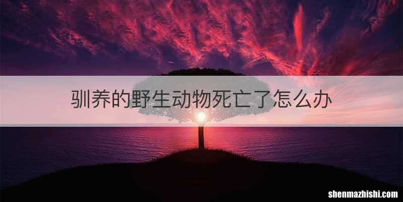 驯养的野生动物死亡了怎么办