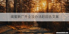 闺蜜新厂开业没办法赶回去文案