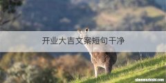开业大吉文案短句干净