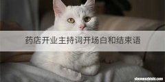 药店开业主持词开场白和结束语