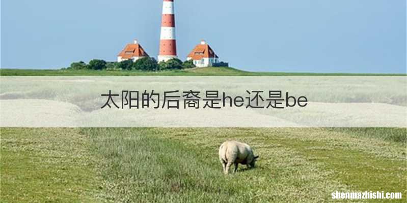 太阳的后裔是he还是be