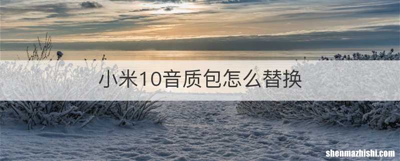 小米10音质包怎么替换