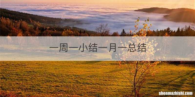 一周一小结一月一总结