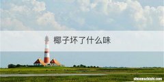 椰子坏了什么味