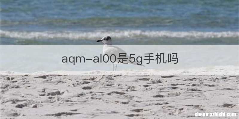 aqm-al00是5g手机吗