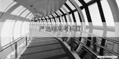 严浩翔高考科目