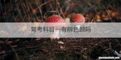 驾考科目一有辨色题吗