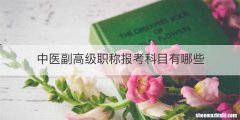 中医副高级职称报考科目有哪些