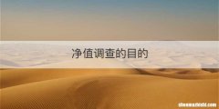 净值调查的目的