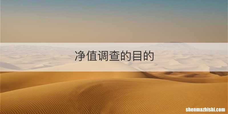 净值调查的目的