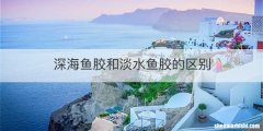 深海鱼胶和淡水鱼胶的区别