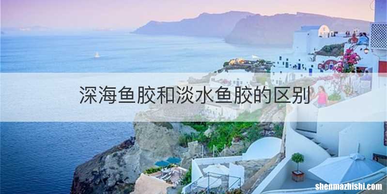 深海鱼胶和淡水鱼胶的区别