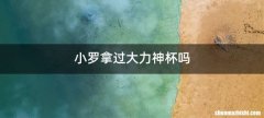 小罗拿过大力神杯吗