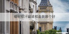 椰树椰汁罐装和盒装哪个好