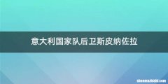 意大利国家队后卫斯皮纳佐拉