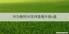 华为魅特30怎样查看外接u盘