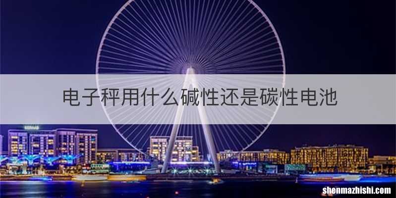 电子秤用什么碱性还是碳性电池