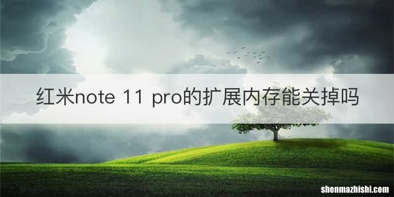 红米note 11 pro的扩展内存能关掉吗