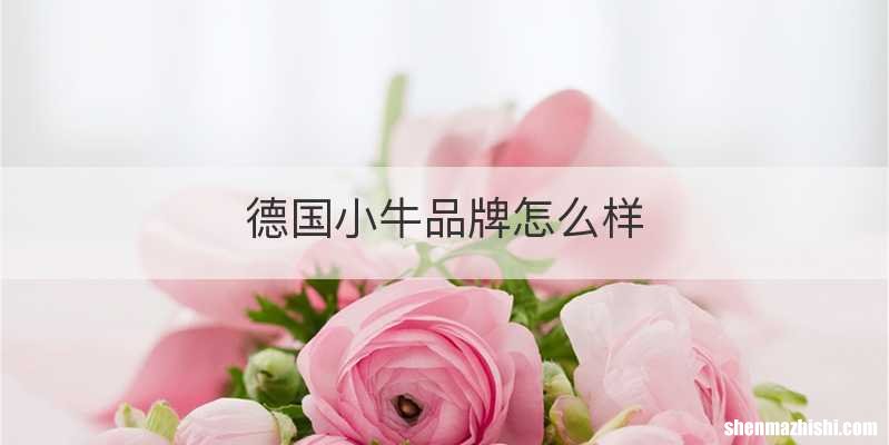 德国小牛品牌怎么样