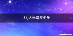 5kj大米是多少斤