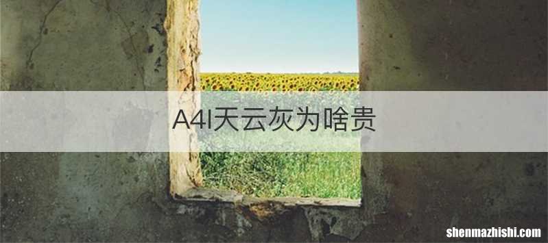 A4l天云灰为啥贵