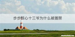步步惊心十三爷为什么被圈禁