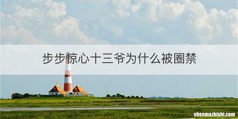 步步惊心十三爷为什么被圈禁