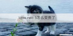 iqoo neo 5怎么变贵了