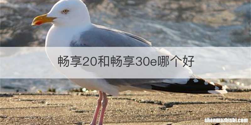 畅享20和畅享30e哪个好