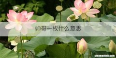 帅哥一枚什么意思