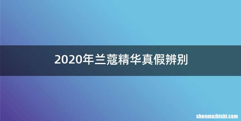 2020年兰蔻精华真假辨别