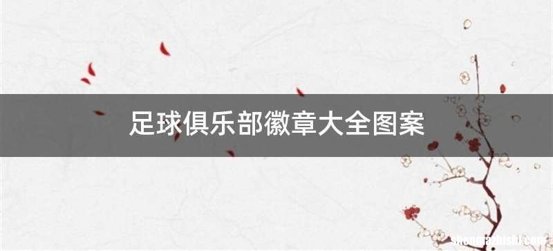 足球俱乐部徽章大全图案