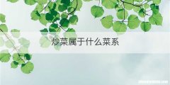炒菜属于什么菜系