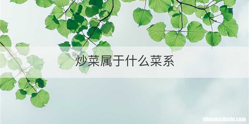 炒菜属于什么菜系