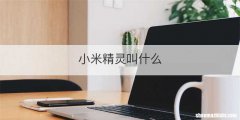 小米精灵叫什么