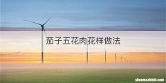 茄子五花肉花样做法