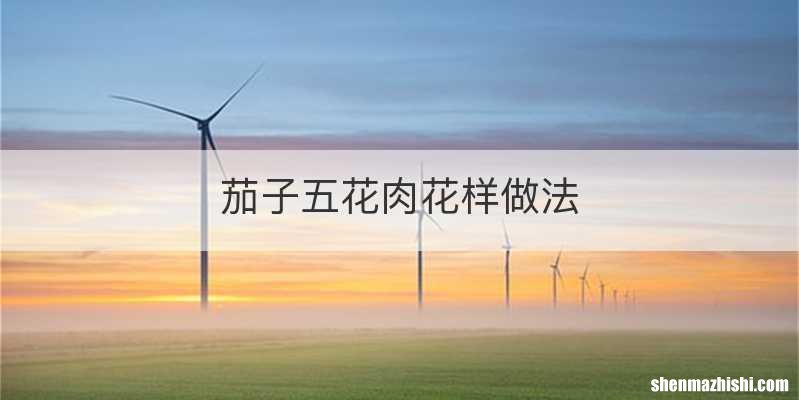 茄子五花肉花样做法
