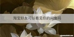 淘宝好友可以看见你的闲鱼吗