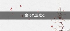 皇马九冠之心