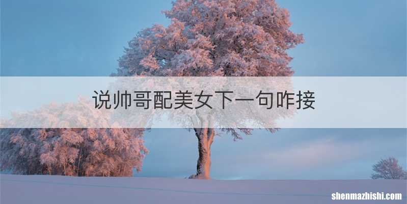 说帅哥配美女下一句咋接
