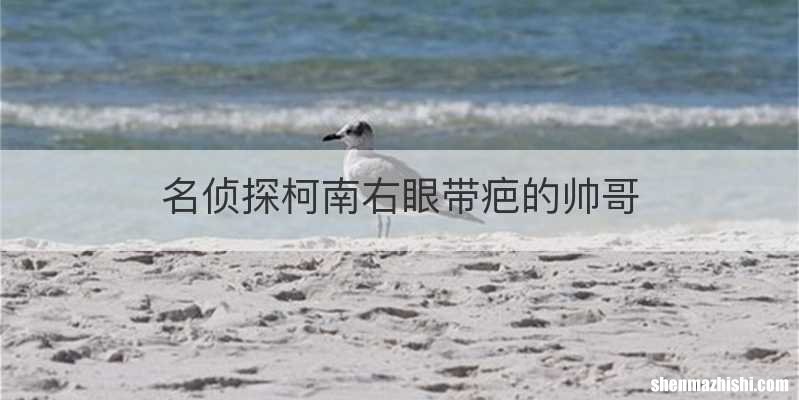 名侦探柯南右眼带疤的帅哥