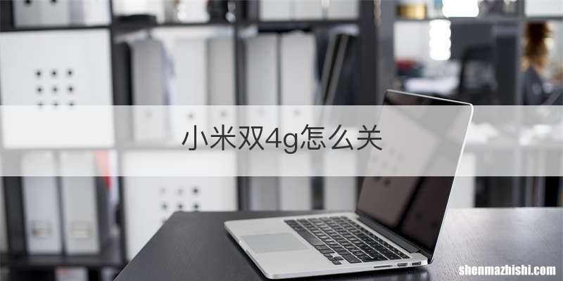 小米双4g怎么关