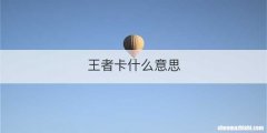 王者卡什么意思