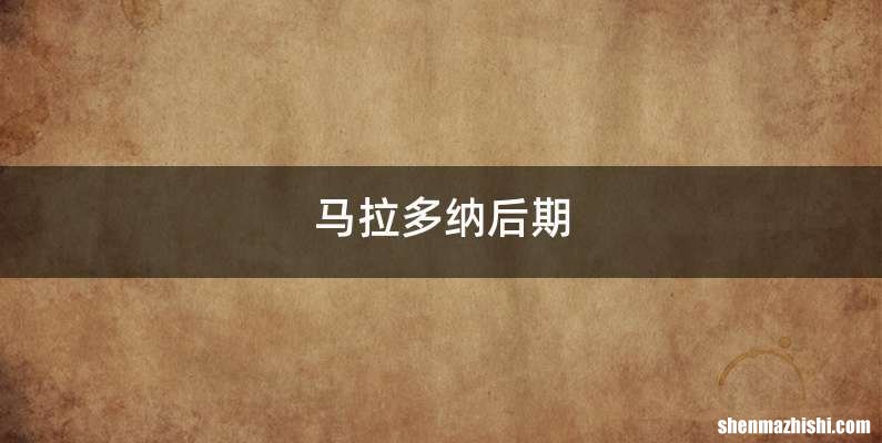 马拉多纳后期