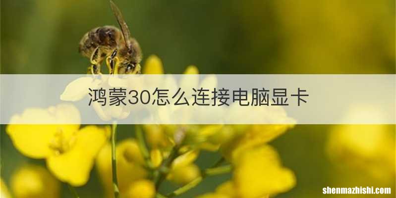 鸿蒙30怎么连接电脑显卡