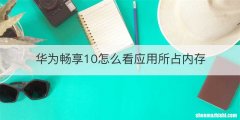 华为畅享10怎么看应用所占内存