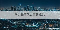 华为畅享怎么更新成5g