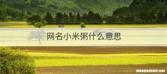 网名小米粥什么意思